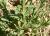 Img.VTax3277.Ex1.Img7