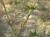 Img.VTax3277.Ex1.Img9