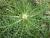 Img.VTax3284.Ex1.Img1