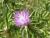 Img.VTax3284.Ex1.Img2