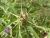 Img.VTax3284.Ex1.Img3