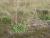 Img.VTax3293.Ex1.Img1