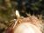 Img.VTax3293.Ex1.Img2