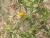Img.VTax3293.Ex1.Img4