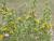 Img.VTax3293.Ex1.Img7