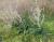 Img.VTax3293.Ex1.Img8