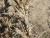 Img.VTax3293.Ex2.Img2