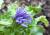 Img.VTax3296.Ex1.Img1