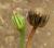 Img.VTax3304.Ex1.Img1