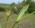 Img.VTax3304.Ex2.Img2