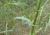 Img.VTax3309.Ex2.Img3