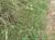 Img.VTax3309.Ex2.Img6