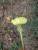 Img.VTax3310.Ex2.Img1