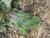 Img.VTax3310.Ex2.Img2