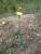 Img.VTax3310.Ex2.Img3