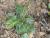 Img.VTax3310.Ex2.Img4