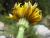 Img.VTax3311.Ex2.Img1