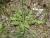 Img.VTax3311.Ex2.Img2