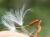 Img.VTax3324.Ex1.Img1