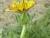 Img.VTax3324.Ex1.Img2