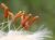 Img.VTax3324.Ex1.Img3