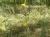 Img.VTax3329.Ex2.Img2