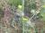 Img.VTax3329.Ex2.Img3