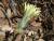 Img.VTax3332.Ex1.Img1