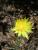Img.VTax3332.Ex1.Img2