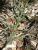 Img.VTax3332.Ex1.Img3