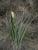 Img.VTax3332.Ex1.Img4