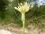 Img.VTax3332.Ex2.Img1