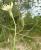 Img.VTax3332.Ex2.Img2