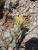Img.VTax3335.Ex1.Img1