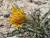Img.VTax3335.Ex1.Img2