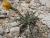 Img.VTax3335.Ex1.Img3