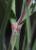 Img.VTax3337.Ex2.Img2