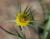 Img.VTax3337.Ex2.Img3
