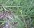Img.VTax3337.Ex4.Img1