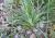Img.VTax3337.Ex4.Img3