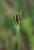 Img.VTax3341.Ex1.Img1