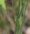 Img.VTax3341.Ex1.Img2