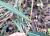 Img.VTax3361.Ex1.Img4