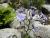 Img.VTax3368.Ex3.Img1