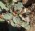 Img.VTax3377.Ex1.Img1