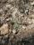 Img.VTax3377.Ex1.Img3