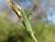 Img.VTax3380.Ex1.Img10