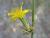 Img.VTax3380.Ex1.Img2