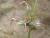 Img.VTax3380.Ex1.Img3