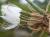 Img.VTax3380.Ex1.Img4